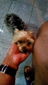 20210515_173630_capture