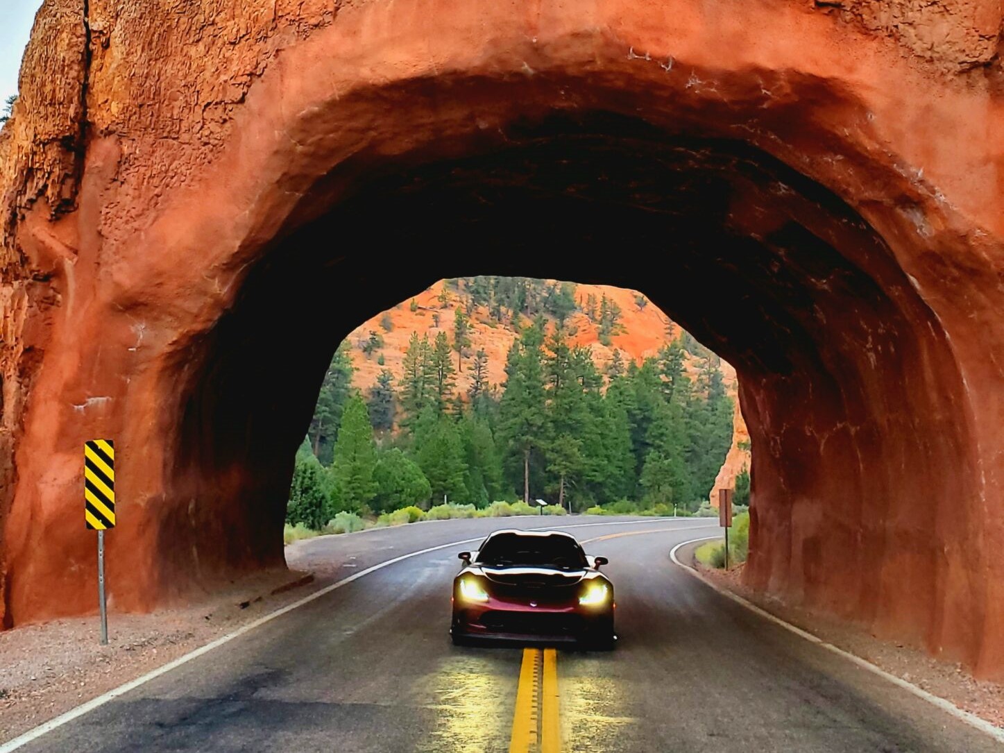 Jennifer-scaled fixed